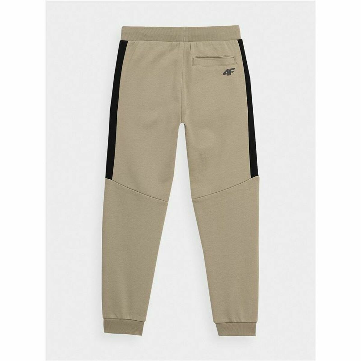 Adult Trousers 4F JSPMD002  Men